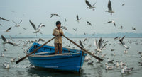 Boy Rowing Blue Boat Surrounded by Seagulls on Calm Water