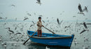 Young Boy in Blue Boat Surrounded by Seagulls