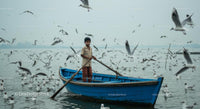 Young Boy in Blue Boat Surrounded by Seagulls