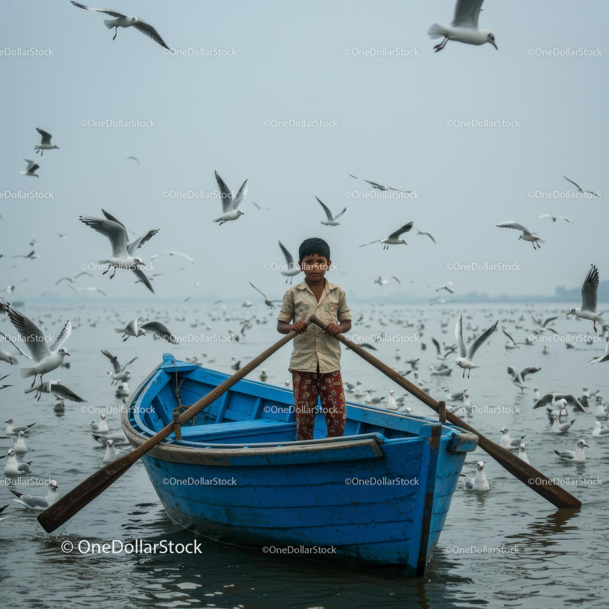 Child Rowing Boat Amid Serene Flock of Seagulls