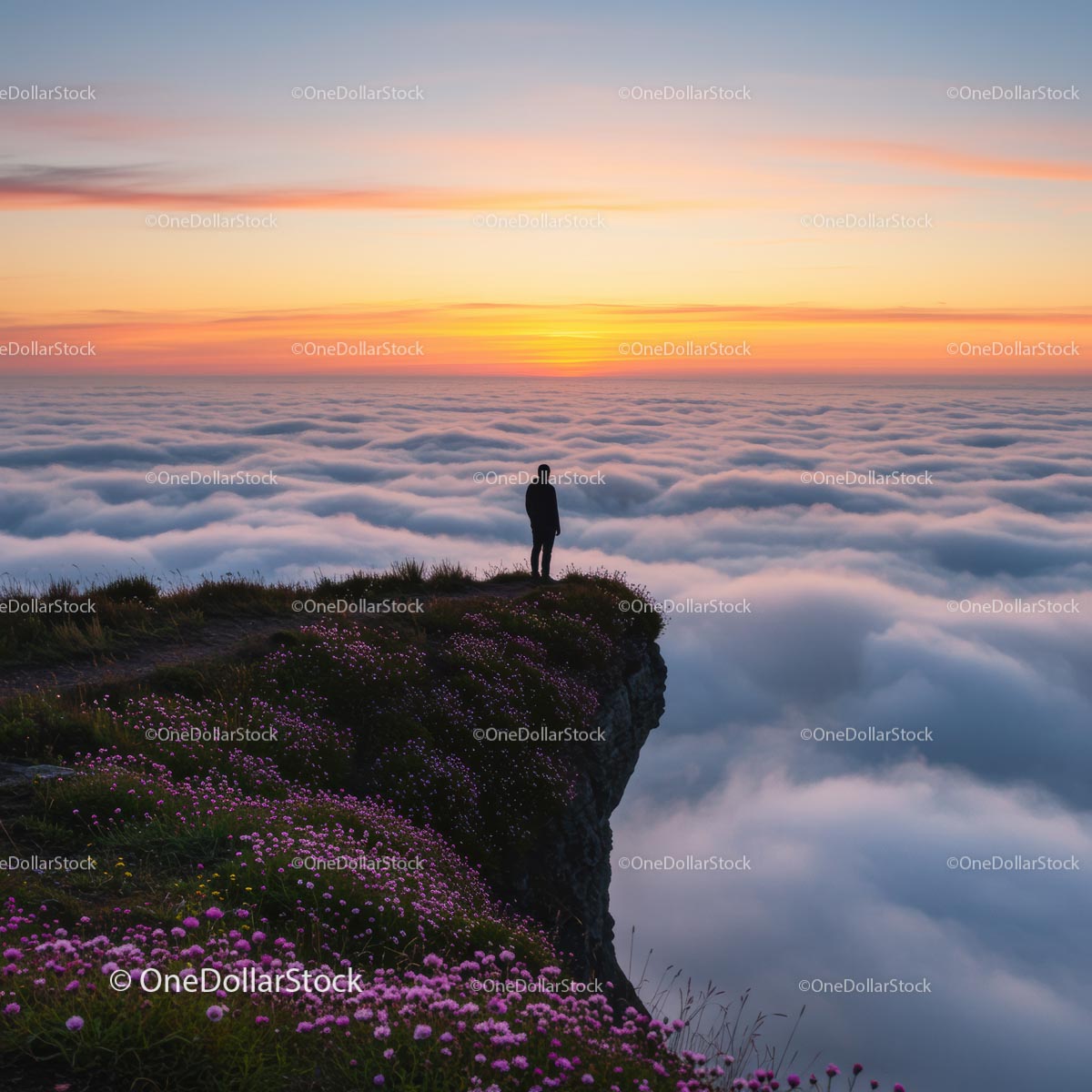Silhouette on Cliff Overlooking Sunset Clouds and Flowers