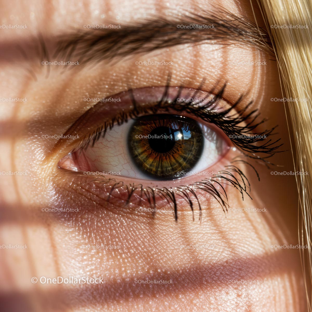 Detailed Close-Up of Human Eye with Long Eyelashes