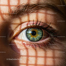 Close-Up of Eye with Intricate Shadow Pattern