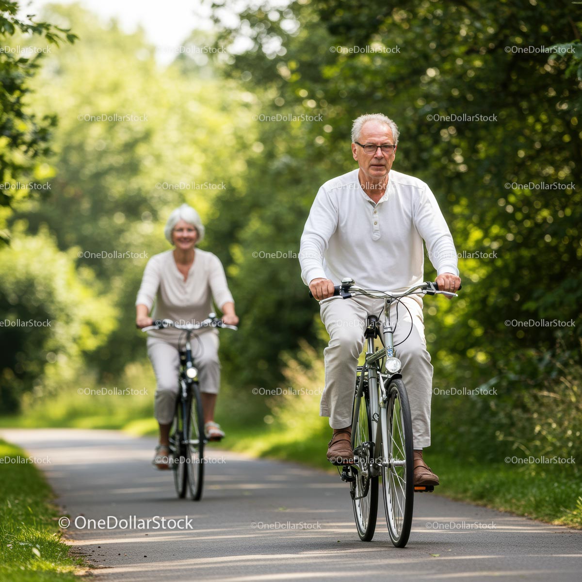 Elderly Couple Enjoying a Bicycle Ride on a Sunny Day
