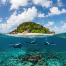 Scuba Divers Exploring Vibrant Coral Reef by Tropical Island