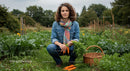 Woman Harvesting Fresh Carrots in Lush Vegetable Garden