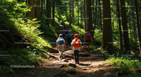 Children Hiking Adventure Through Lush Green Forest