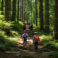 Children Hiking Through Lush Green Forest