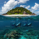 Scuba Divers Explore Vibrant Coral Reef by Tropical Island