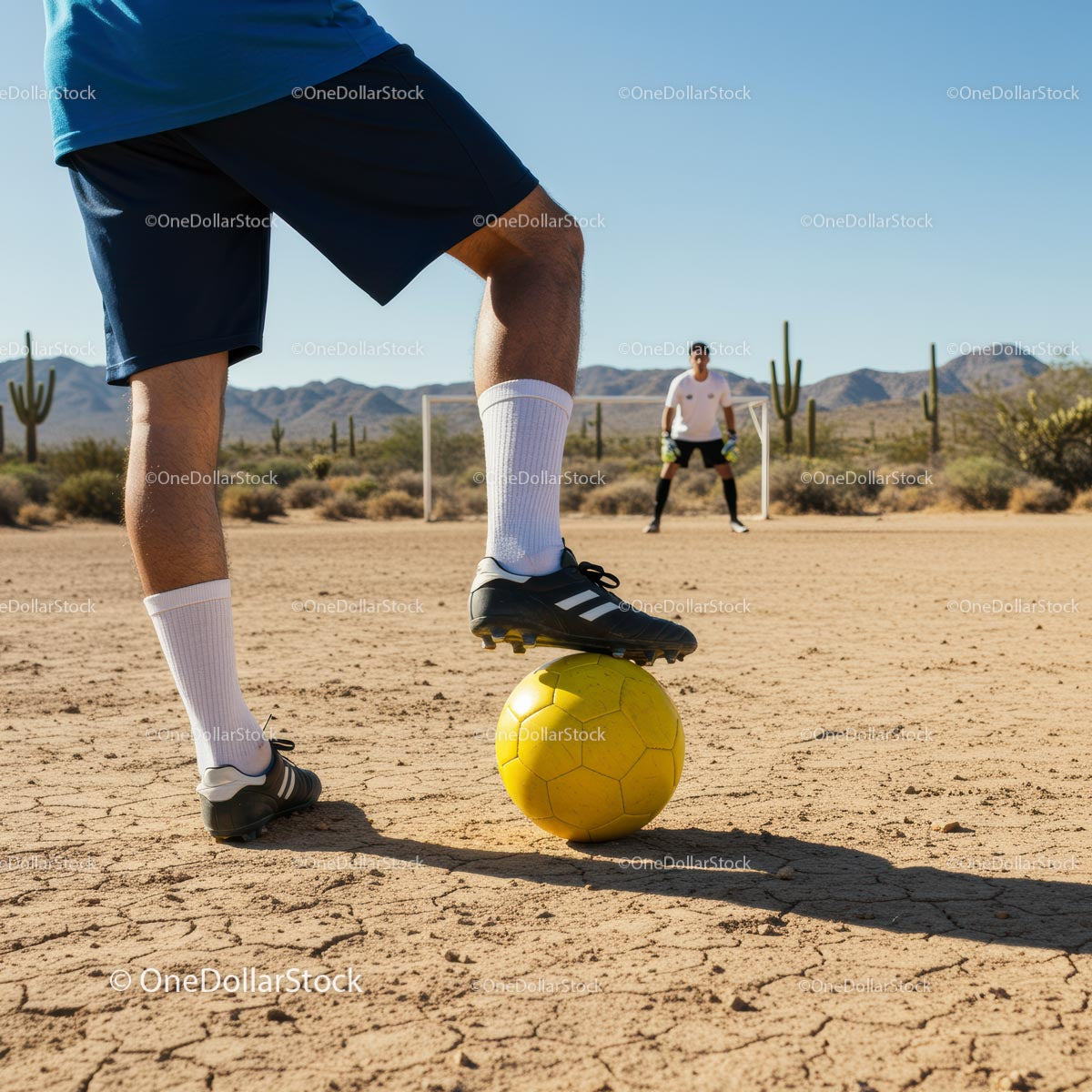 Desert Soccer Game with Yellow Ball and Cactus Background