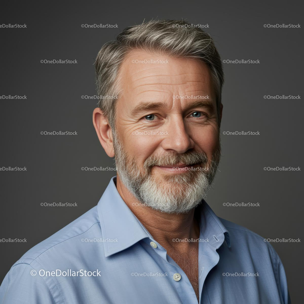 Confident Mature Man in Blue Shirt Portrait