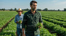 Farmers Inspecting Green Crops on a Sunny Day