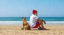 Senior Man with Dog Relaxing on the Beach with Skateboard