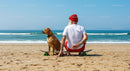 Senior Man and Dog Relaxing with Skateboard on Sunny Beach