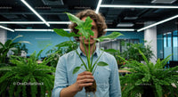Person Holding Indoor Plant in Modern Office