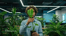 Philodendron Enthusiast in a Modern Green Office