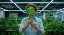 Man Holding Green Plant Leaf in Modern Office Setting