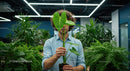 Man with Monstera in Modern Office Surroundings