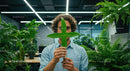 Man with Green Leaves in Modern Office