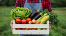 Fresh Organic Vegetables in a Wooden Crate from the Garden