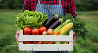Fresh Organic Vegetables in a Wooden Crate from the Garden