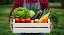 Freshly Harvested Vegetables in Wooden Crate