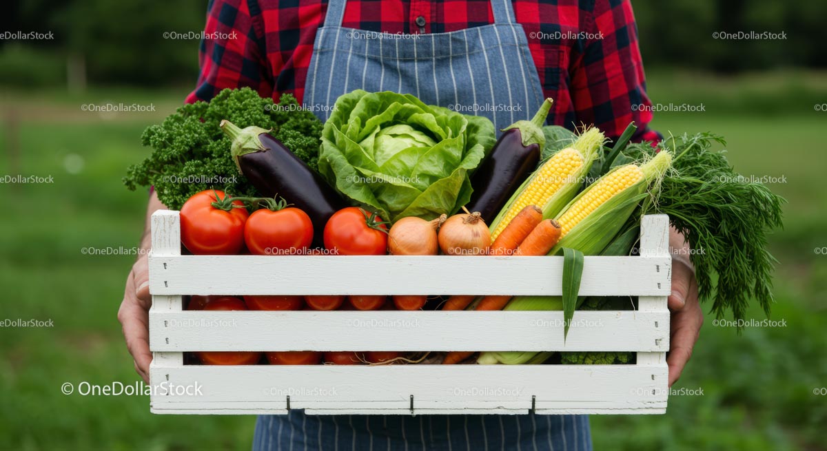 Freshly Harvested Vegetables in Wooden Crate