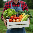 Farmer Holding Crate of Fresh Vegetables in Field