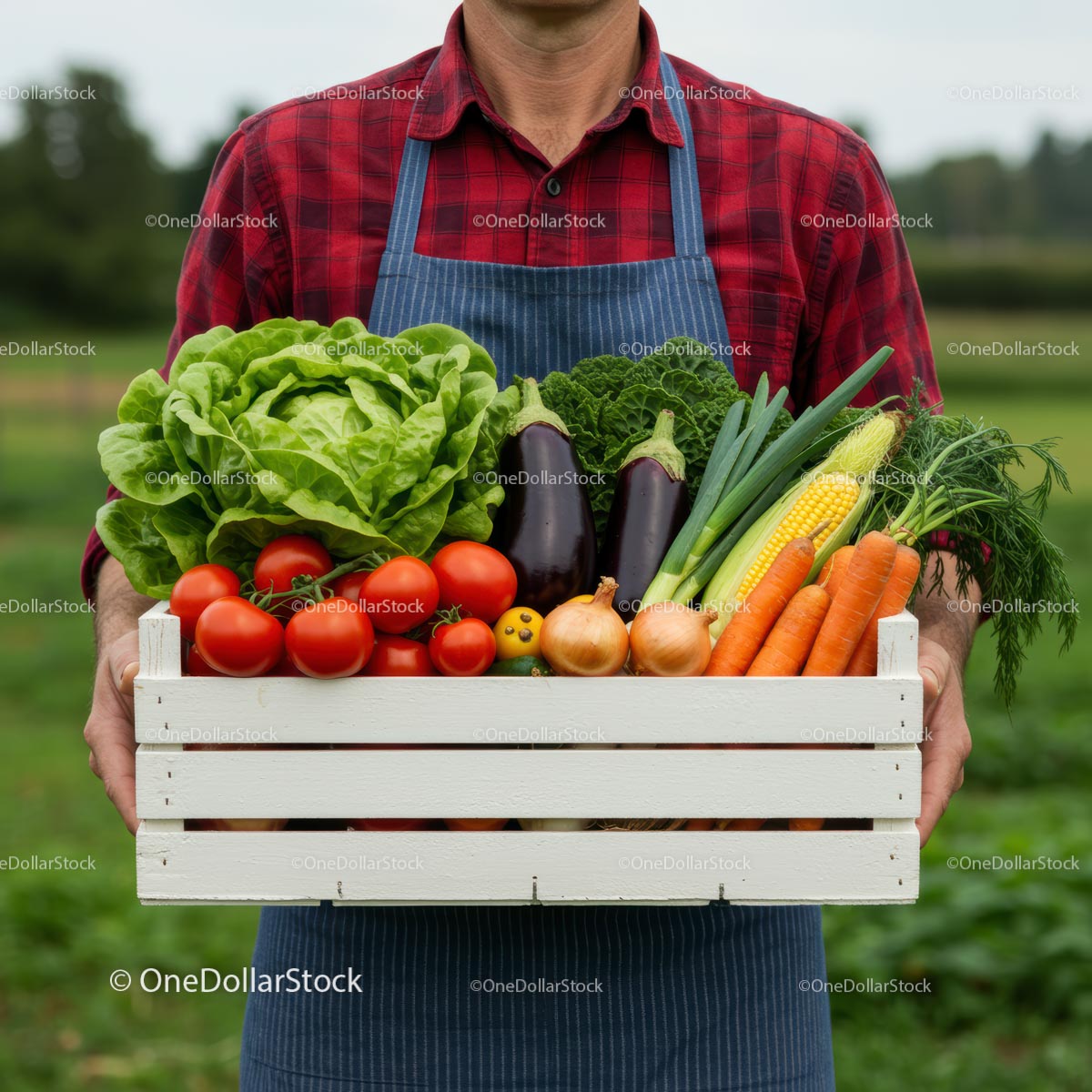 Fresh Harvest of Organic Vegetables in Wooden Crate