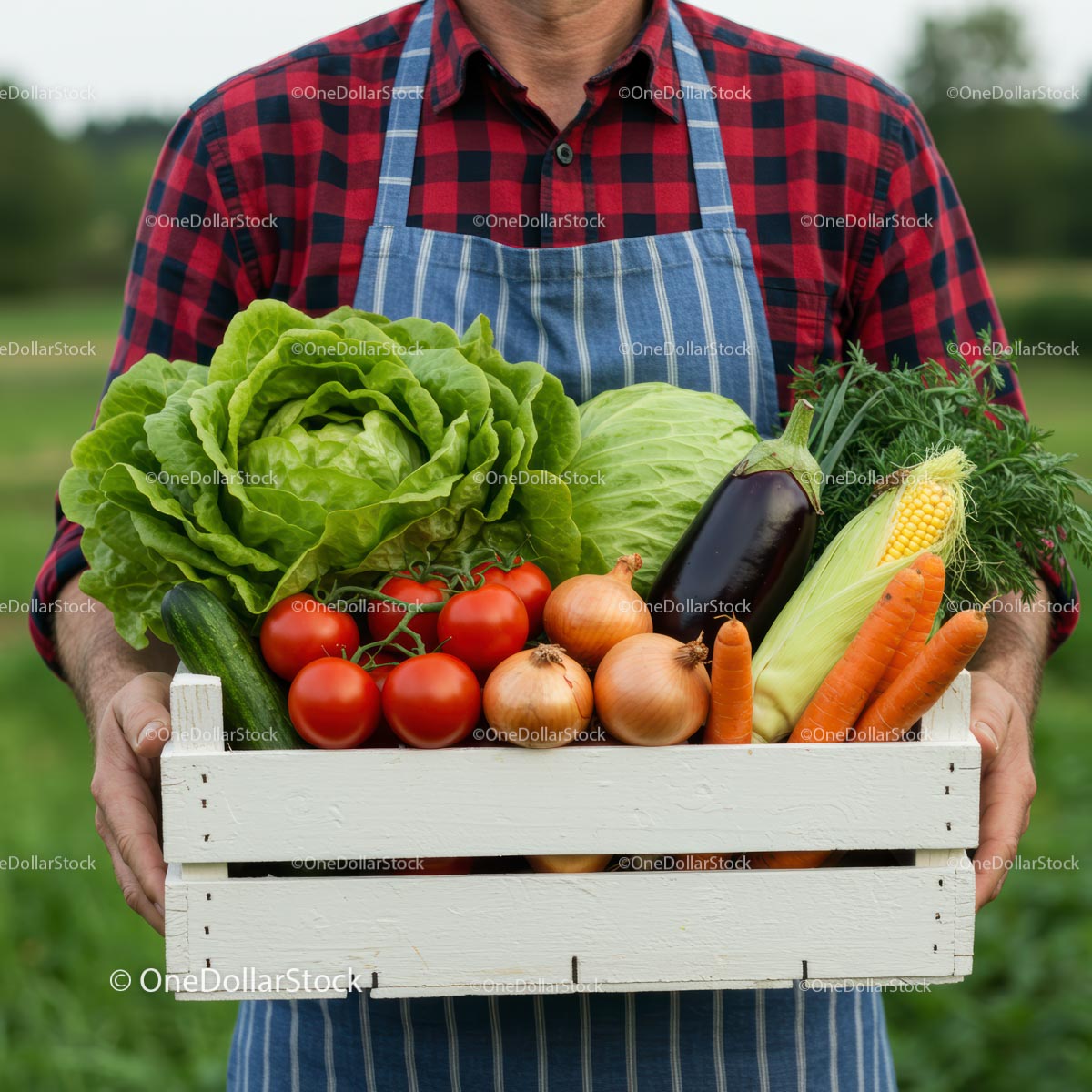 Fresh Vegetable Harvest in Wooden Crate