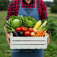 Fresh Harvest with Lettuce, Tomatoes, and Carrots in Crate