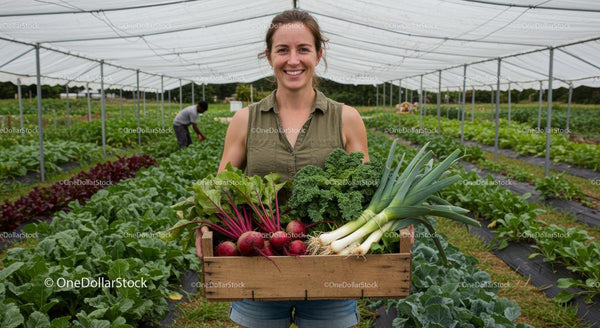 Uśmiechnięta kobieta rolnik z świeżymi, organicznymi warzywami w szklarni