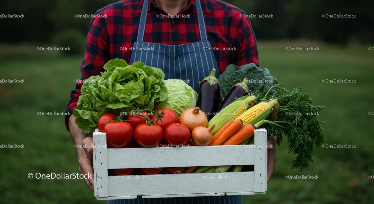 Fresh Harvest of Organic Vegetables in Wooden Crate