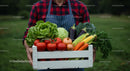 Fresh Harvest of Organic Vegetables in Wooden Crate