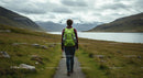 Hiker on Path in Scenic Mountain Landscape with Lake