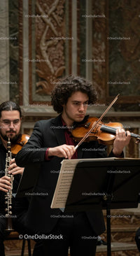 Violinist Performing in Elegant Concert Hall