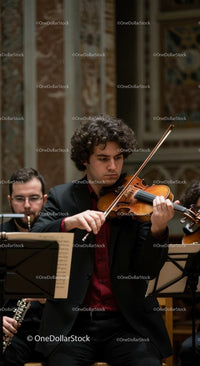 Violinist Performing in Elegant Concert Hall