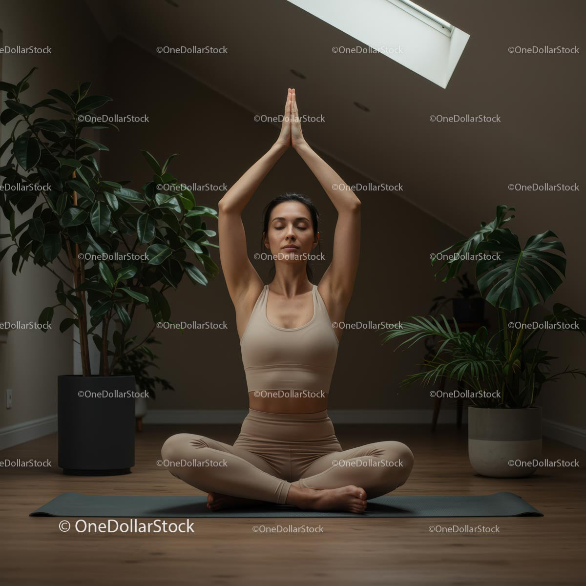Woman Practicing Yoga Amidst Indoor Plants in Serene Setting