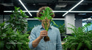 Monstera Plant in a Modern Office Environment