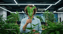 Person Holding Philodendron Leaf in Modern Office