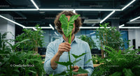 Person Holding Philodendron Leaf in Modern Office