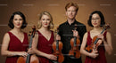 Classical Quartet in Elegant Red Attire