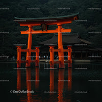 Majestic Torii Gate Reflected in Tranquil Waters