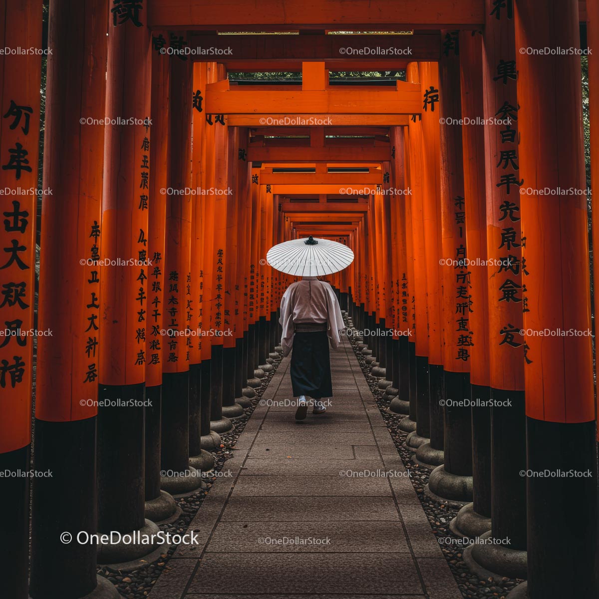 Person with Umbrella Walking Through Torii Gates in Kyoto