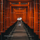 Man Walking Through Vibrant Orange Torii Gates in Kyoto