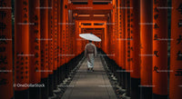 Man Walking Through Vibrant Orange Torii Gates in Kyoto