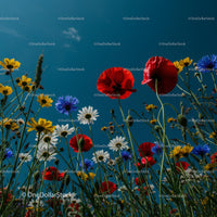 Colorful Wildflower Field Under a Clear Blue Sky