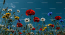 Vibrant Wildflowers in a Sunny Meadow Under Blue Sky