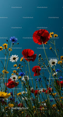 Colorful Wildflowers and Red Poppies Under Blue Sky