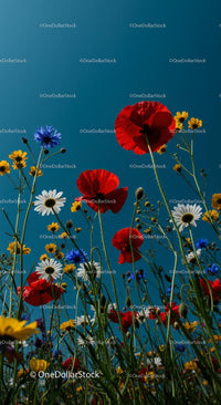 Colorful Wildflowers and Red Poppies Under Blue Sky